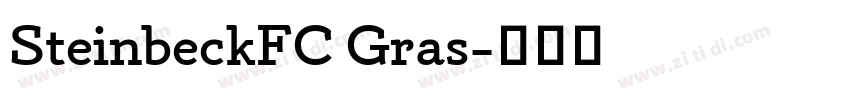 SteinbeckFC Gras字体转换